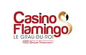 Casino tranchant flamingo