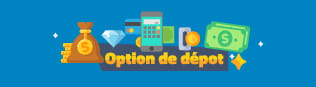 options de dépôt