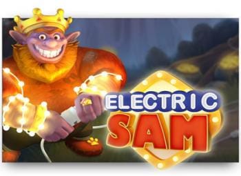 Electric sam