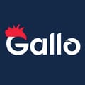 Gallo-Casino