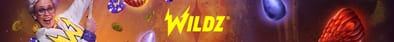 Wildz fr