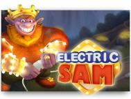 Electric sam