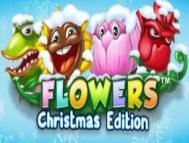 Flowers christmas edition