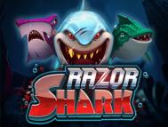 Razor shark