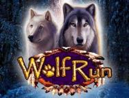 Wolf run